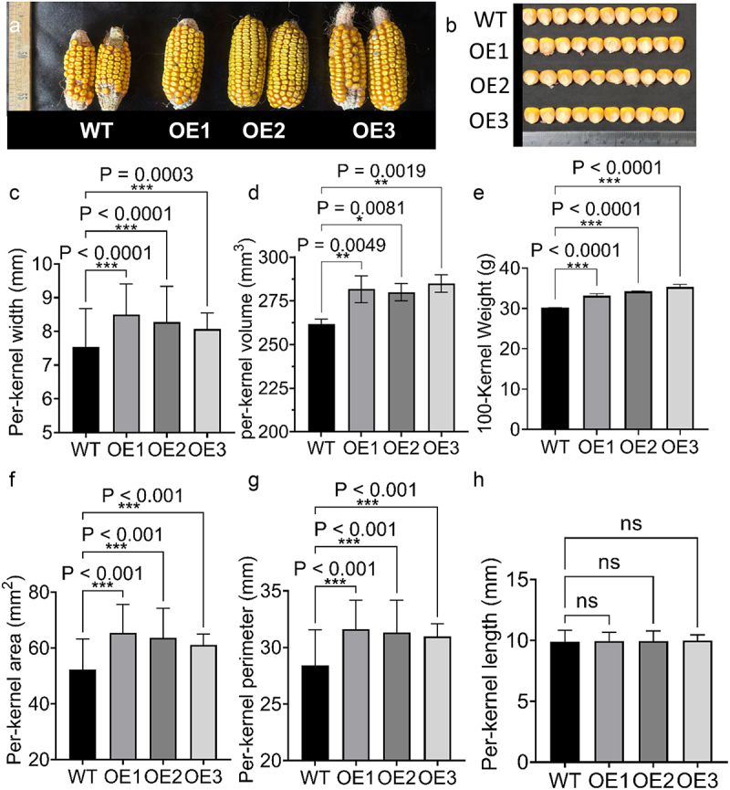 Figure 13