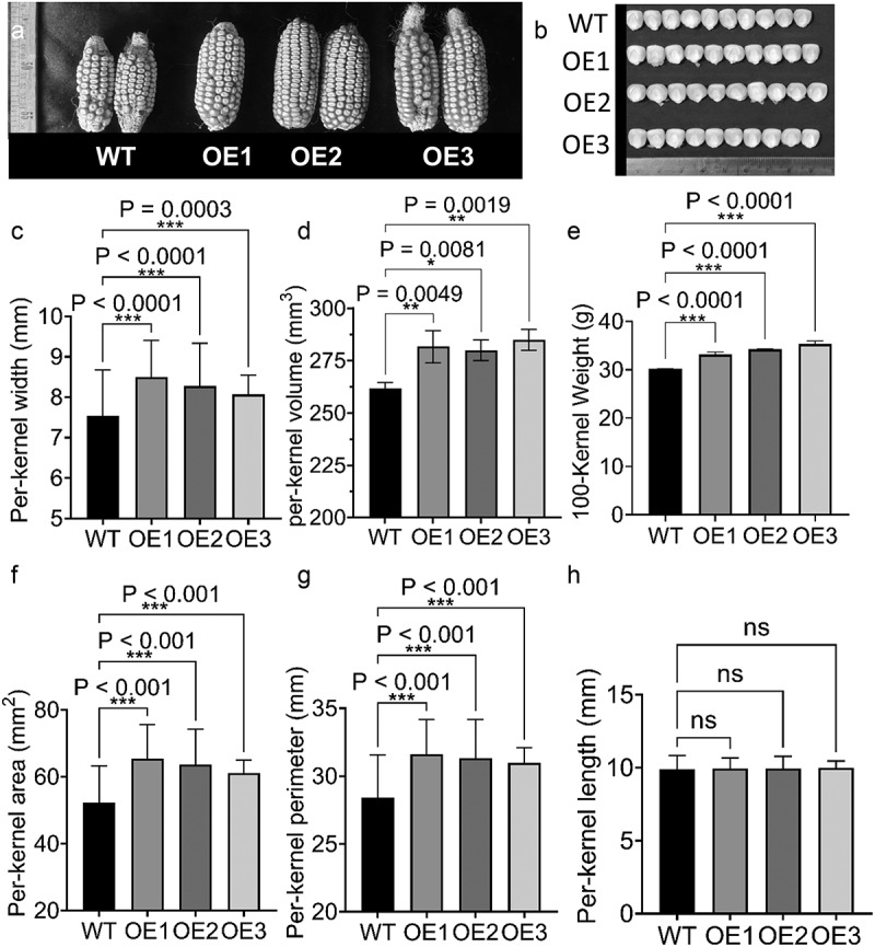 Figure 14