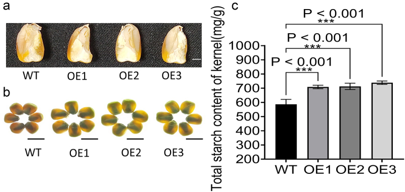 Figure 15