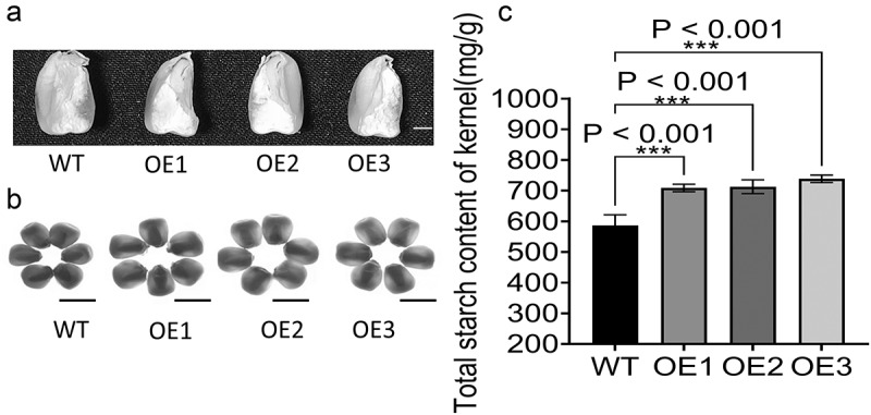 Figure 16