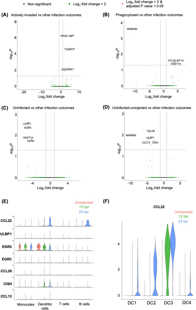 Figure 5