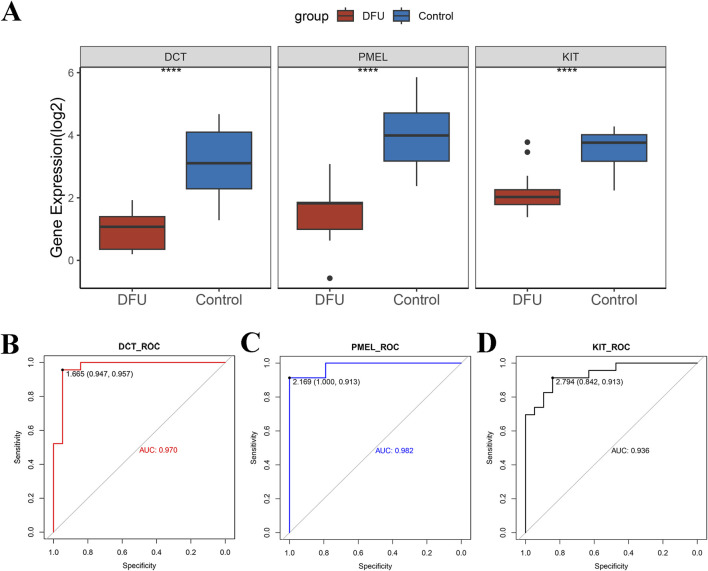 FIGURE 4