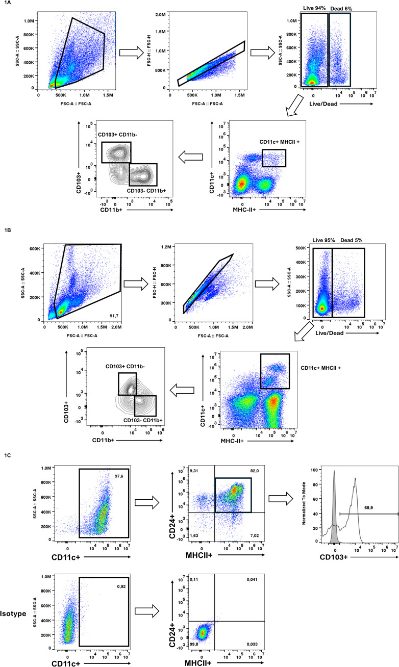 Figure 1