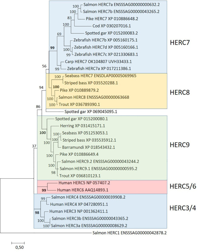 Figure 3