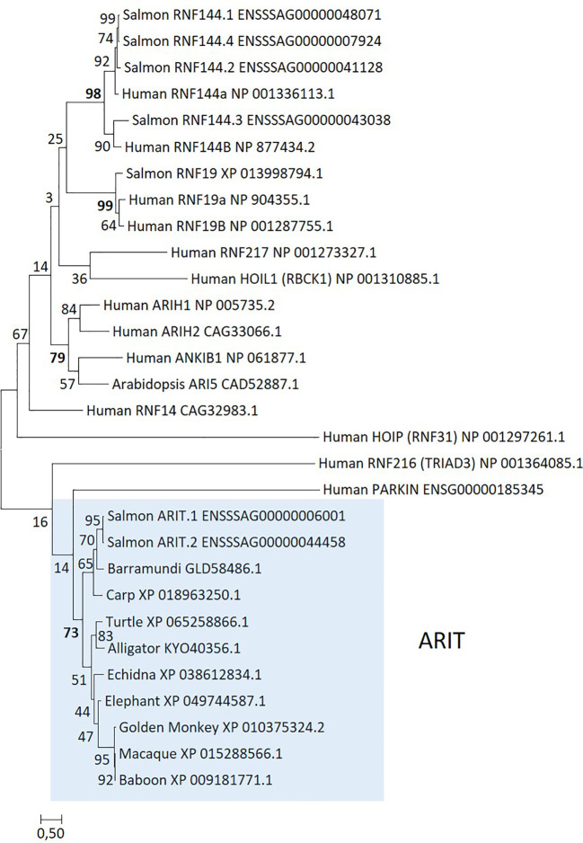 Figure 5