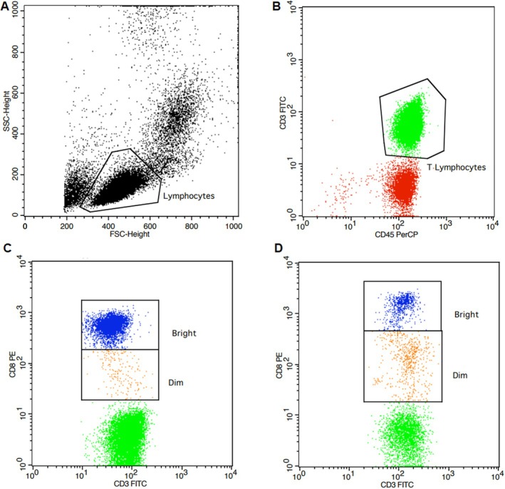 FIGURE 3