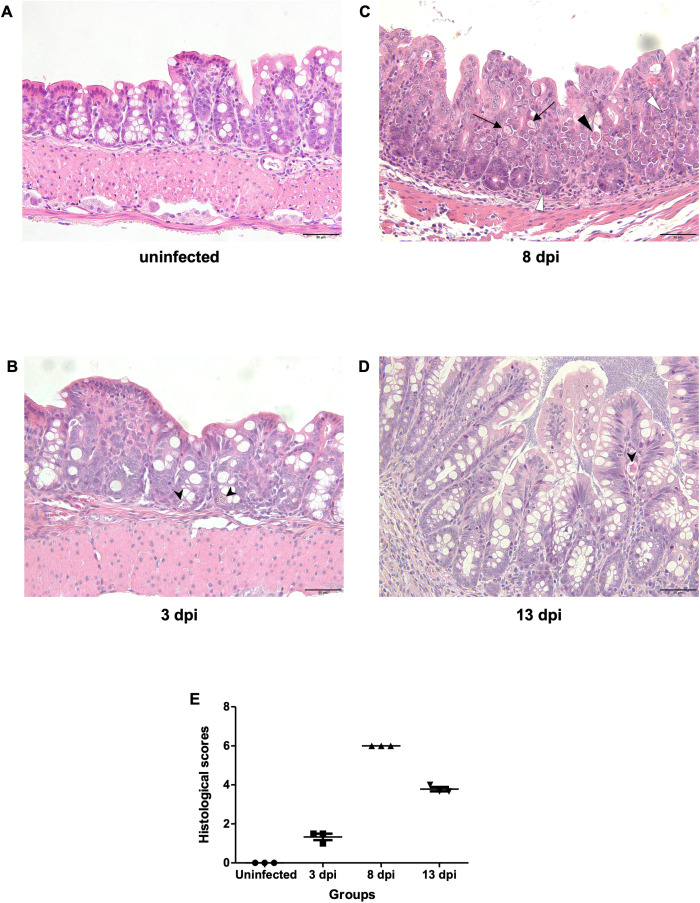 Figure 3