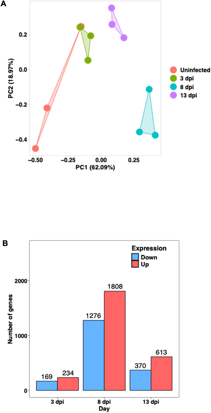 Figure 5