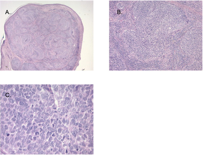 Figure 4