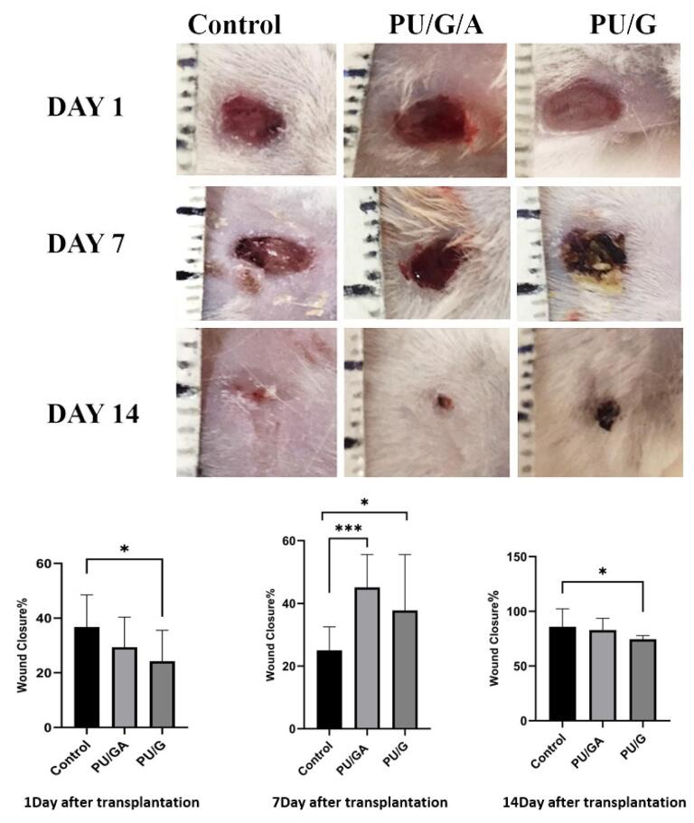 Figure 12