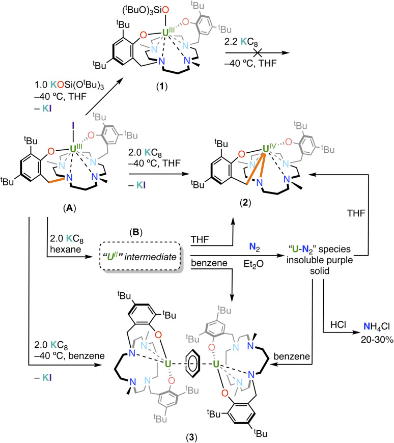 Scheme 1