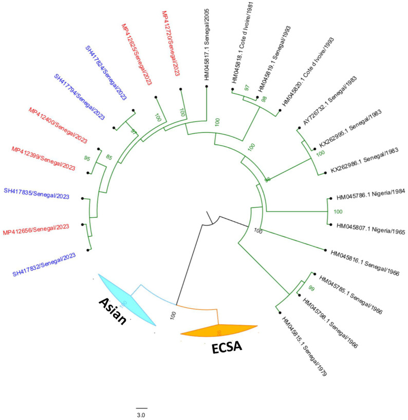 Figure 2