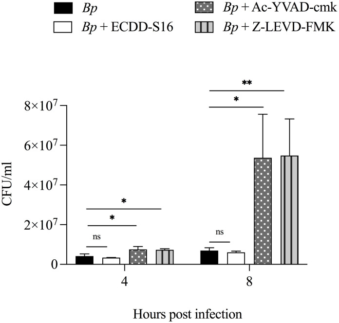 Fig 6