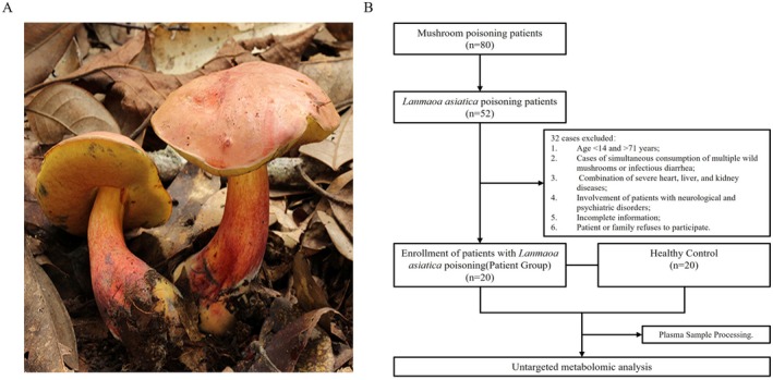 FIGURE 1
