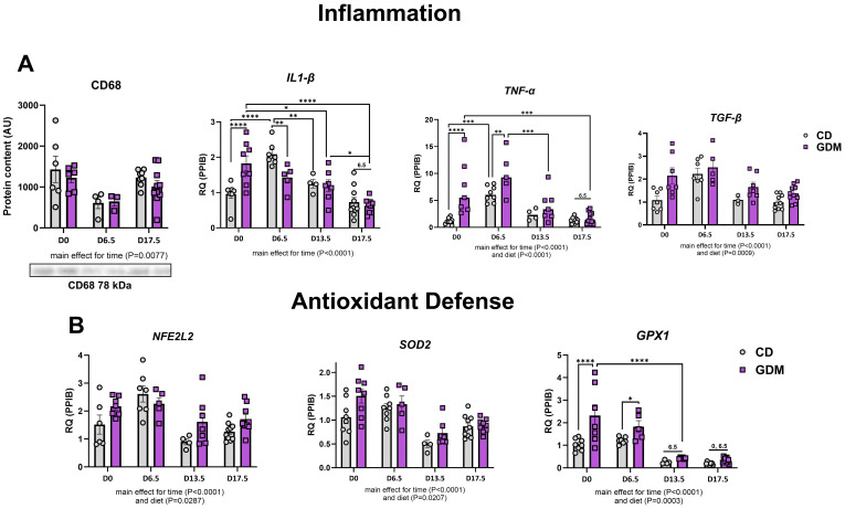 Figure 4