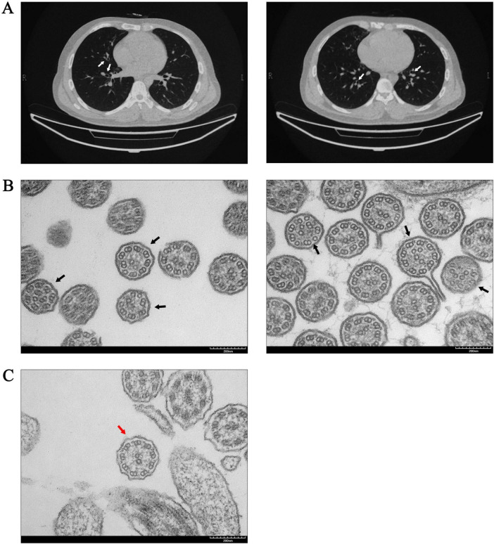 FIGURE 1