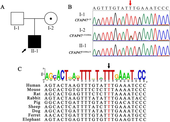 FIGURE 3