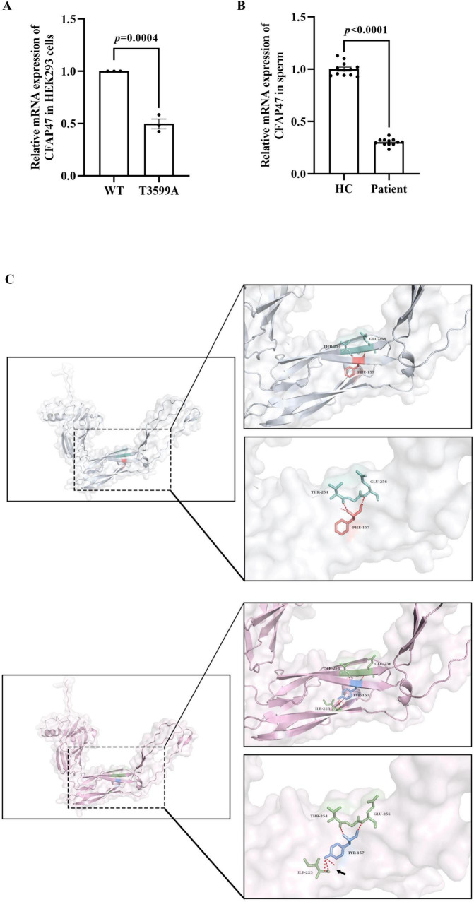 FIGURE 4