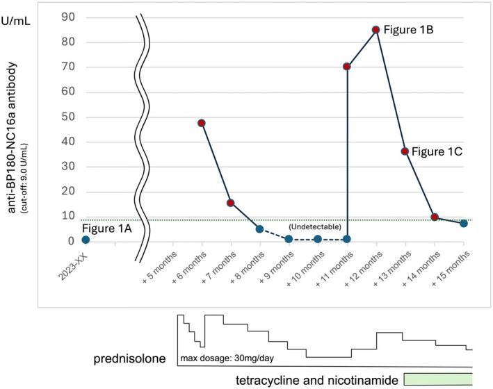 FIGURE 2