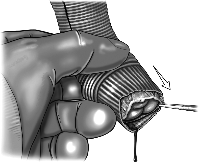 Figure 8
