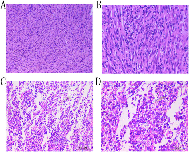 Figure 2