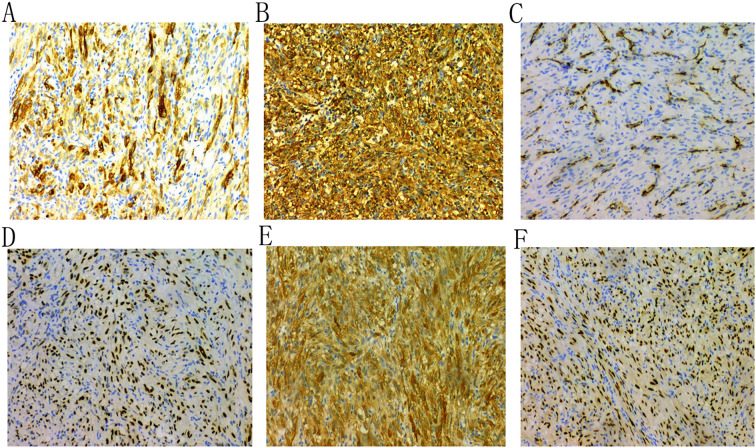 Figure 3