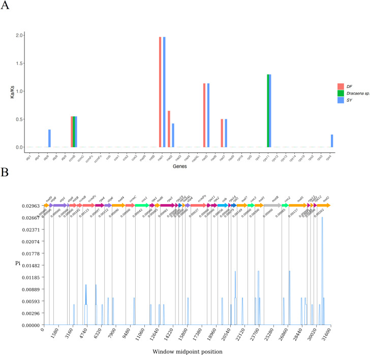 Figure 7