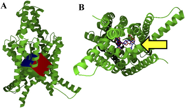 FIGURE 1