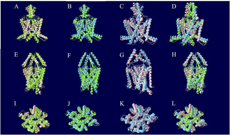 FIGURE 4