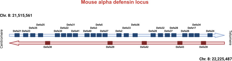 Figure 1