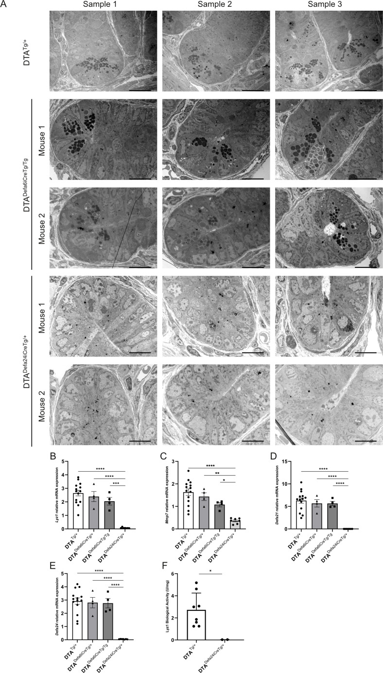 Figure 4
