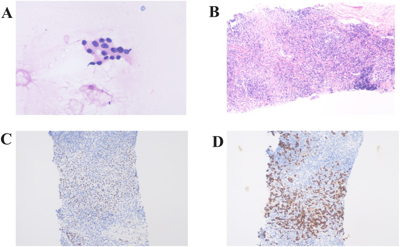 Figure 3