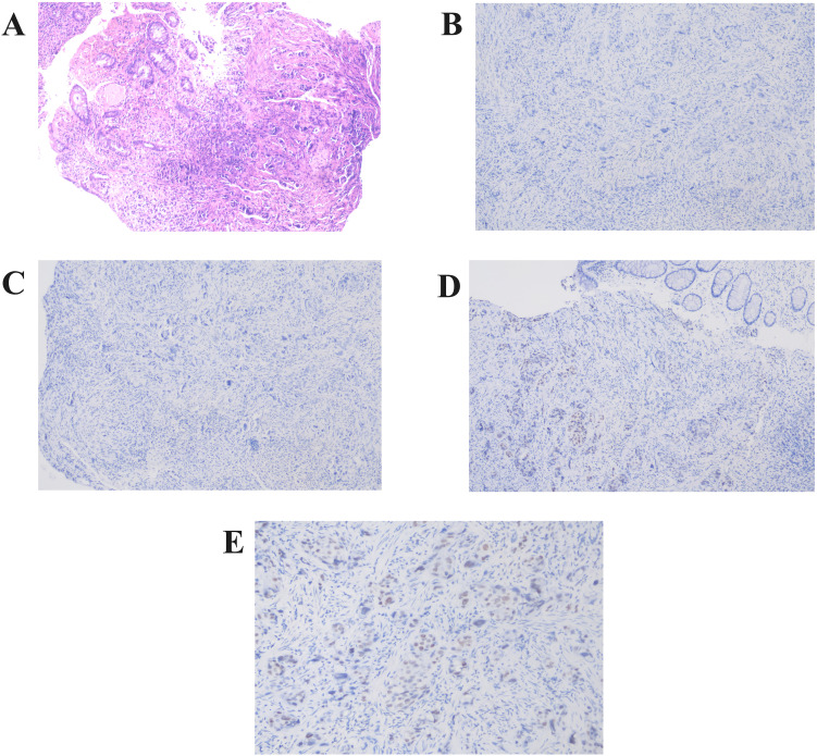 Figure 4