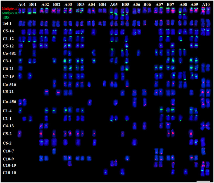 Figure 3