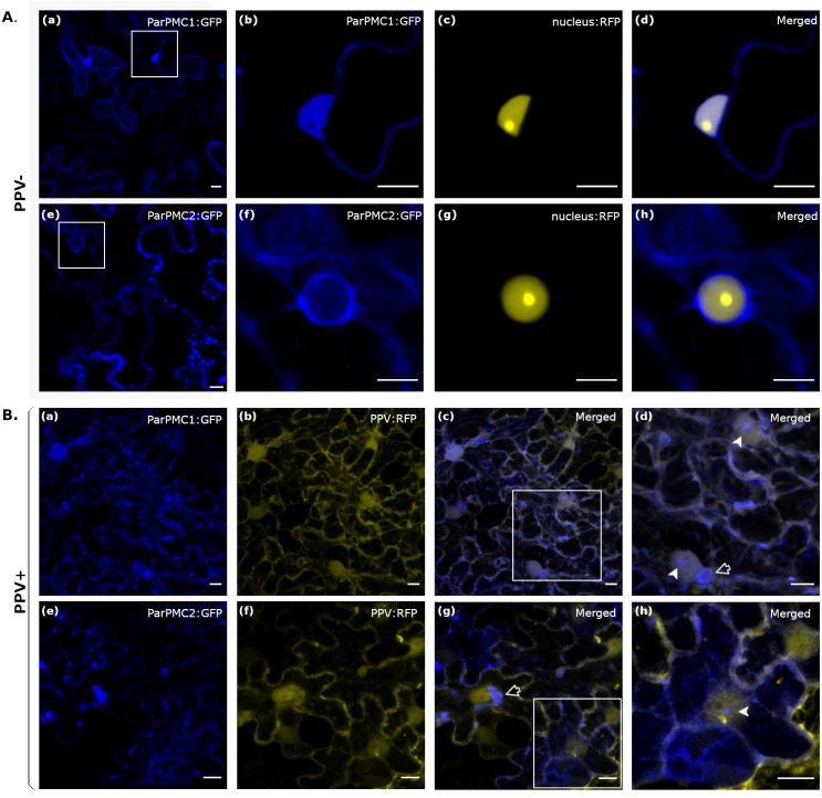 Figure 3