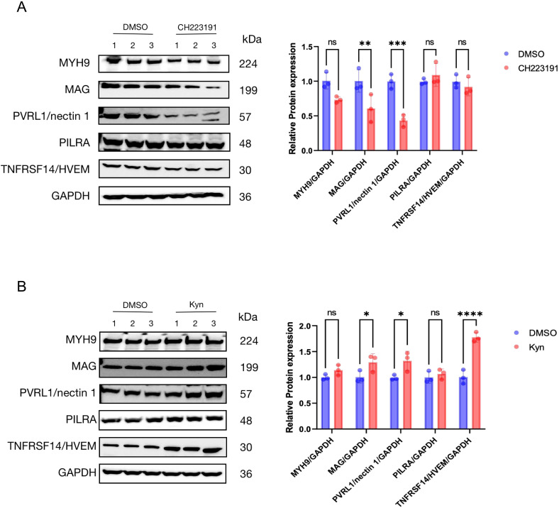 Figure 6