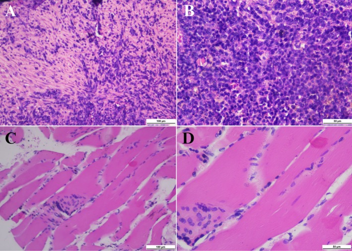 FIGURE 3