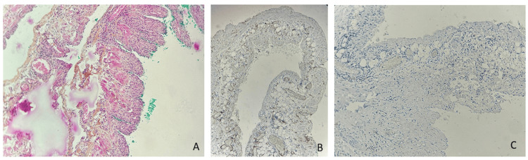 Figure 10