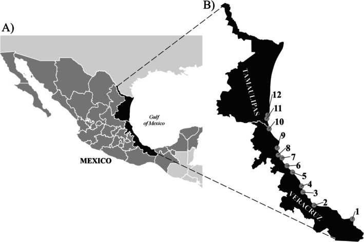 FIGURE 1