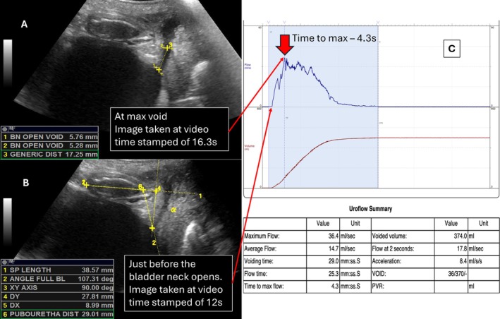 FIGURE 2