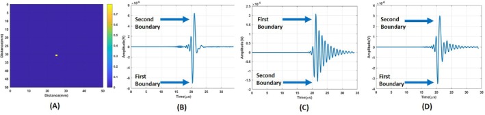 FIGURE 12