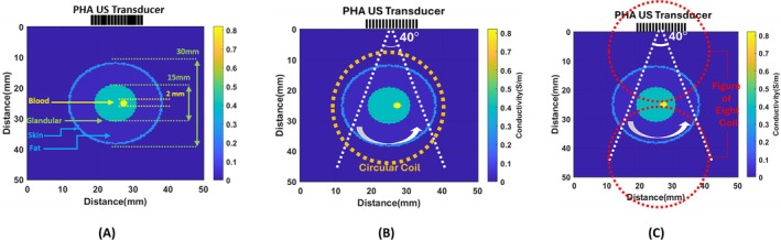 FIGURE 20