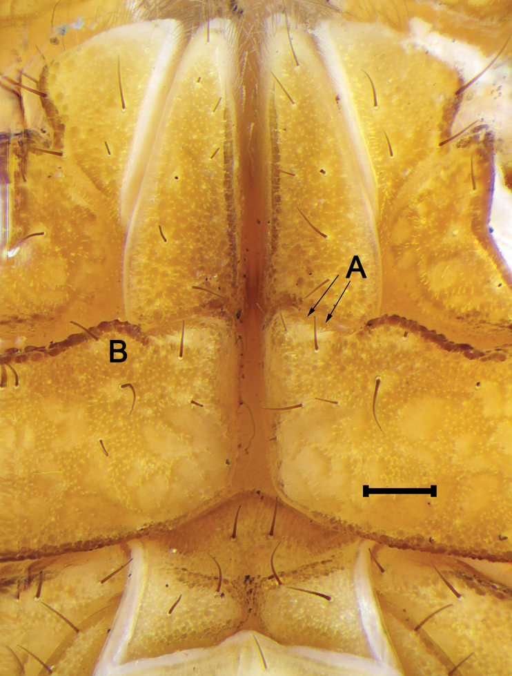 Figure 8