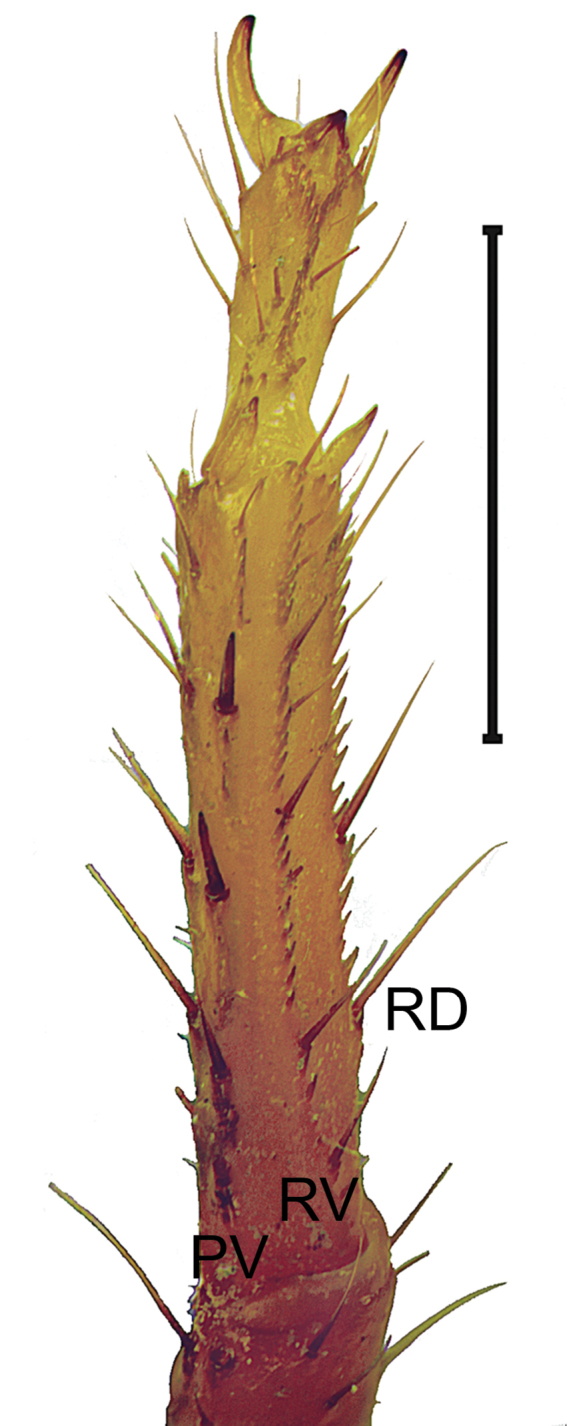 Figure 12