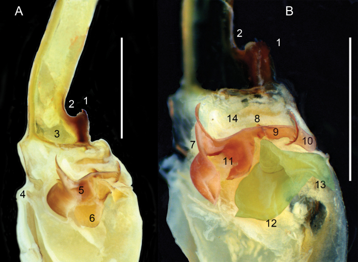 Figure 14