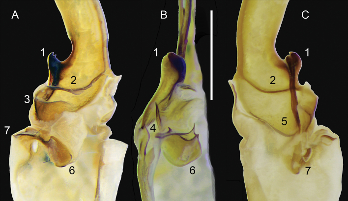 Figure 15