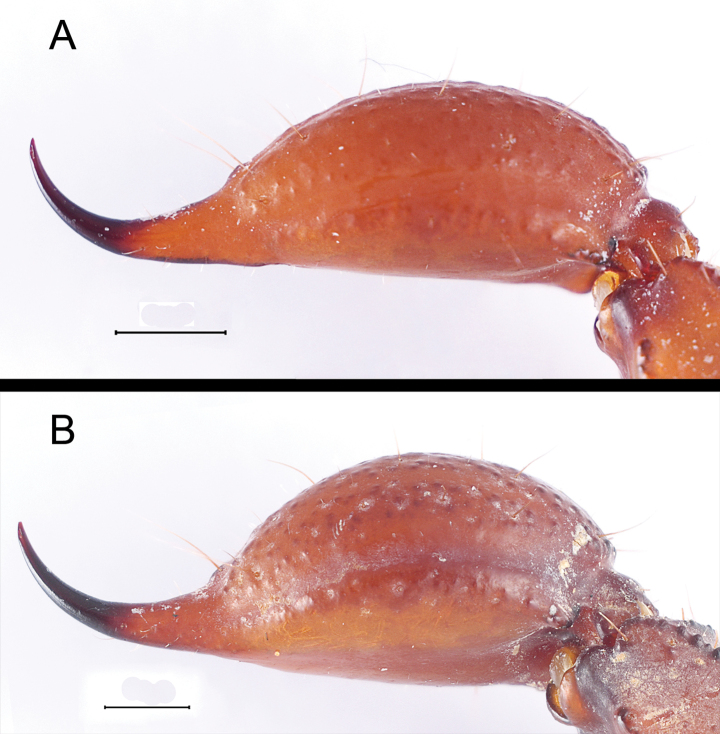 Figure 18
