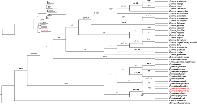 Figure 4
