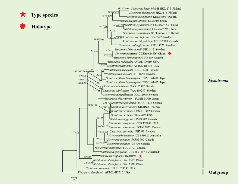 Figure 2
