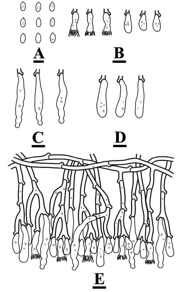 Figure 10